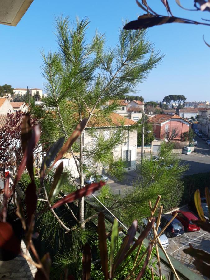 Chambre D'Hote Zen Chez Philippe Marseille Eksteriør billede